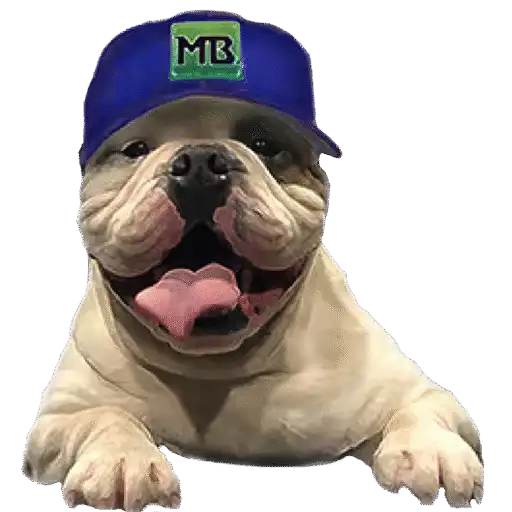 Cropped Macario Brothers Mascot PNG