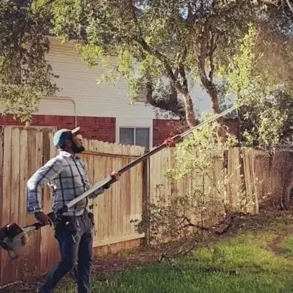 Lawn care worker trimming oak tree branches with a pole saw in a San Antonio backyard