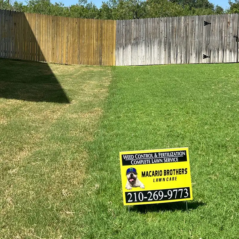 Macario Brothers Lawn Care yard sign in a fenced San Antonio backyard lawn